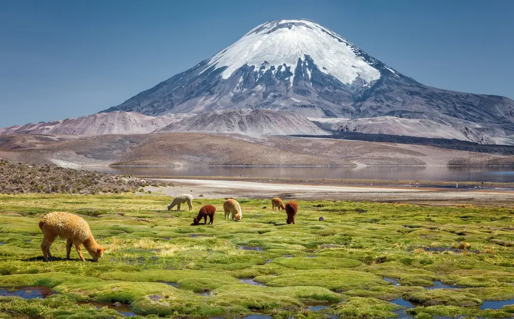 Atacama Desert - Northern Chile