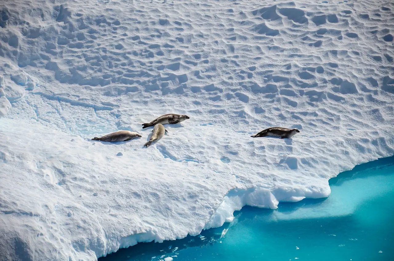 Antarctica cruise expedition ship - luxury group travel from Punta Arenas Chile